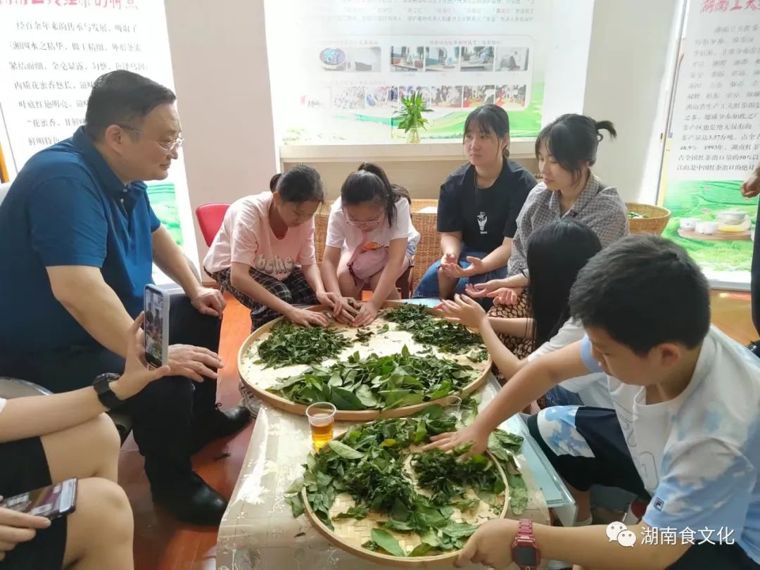 原載人民日報“人民視點”茶葉是怎樣做出來的？湖南大、中、小學生體驗湖南工夫紅茶制作